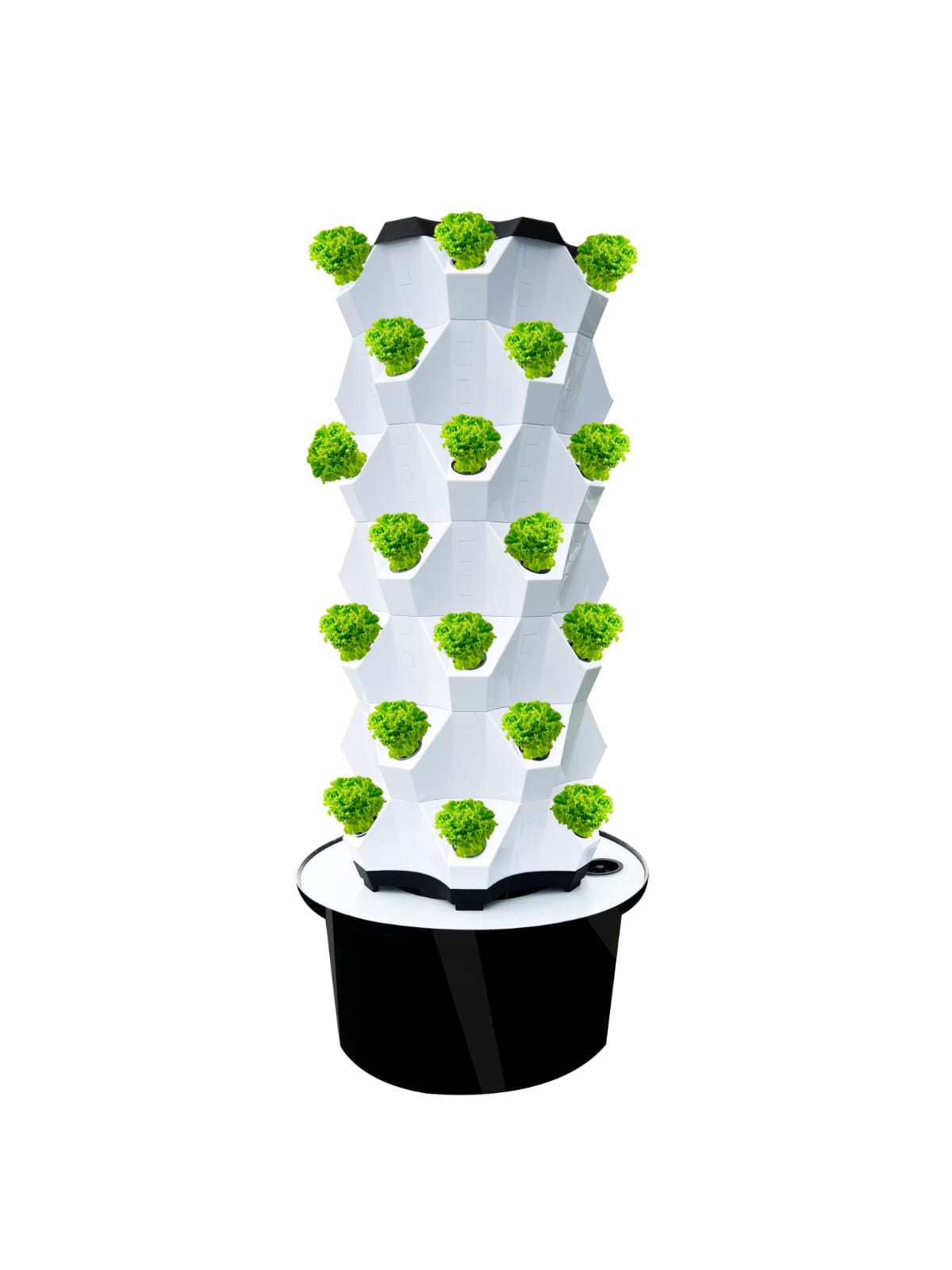 Hydroponic tower 10 Layers