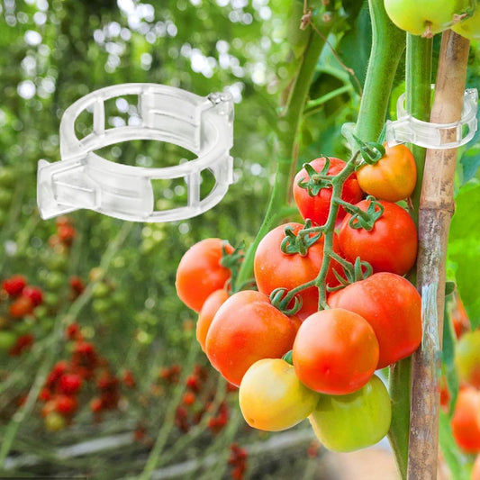 TOMATO CLIPS 100 PCS