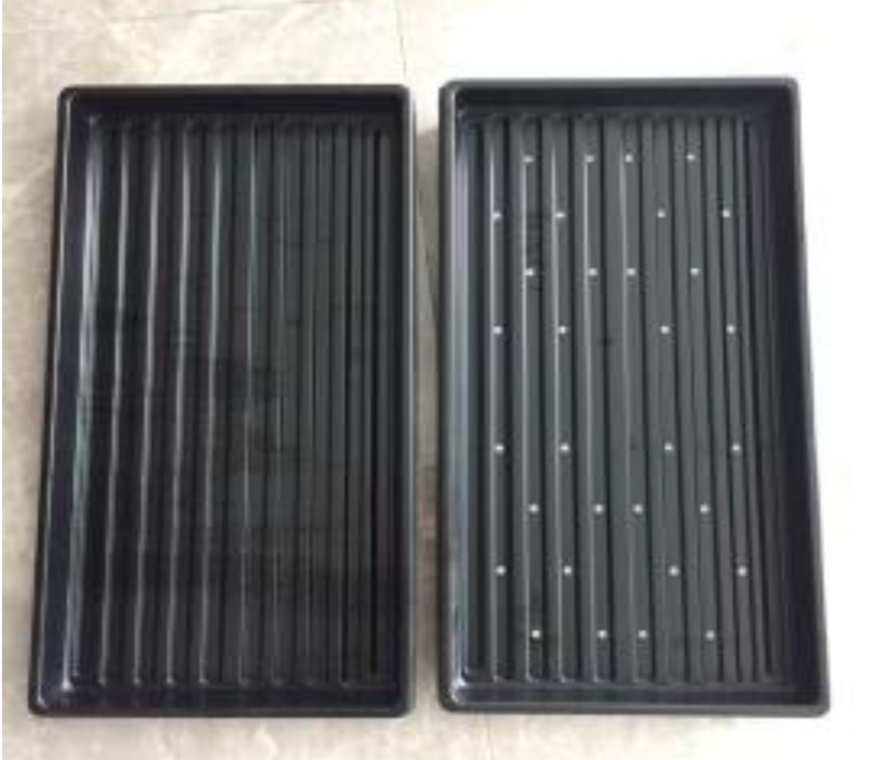 seeding tray with holes