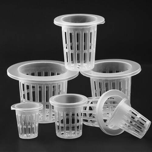 NET CUP 50MM